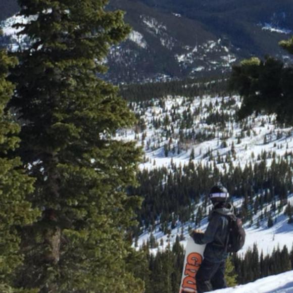 Meet your Posher, Bradley - Picture 1 of 1